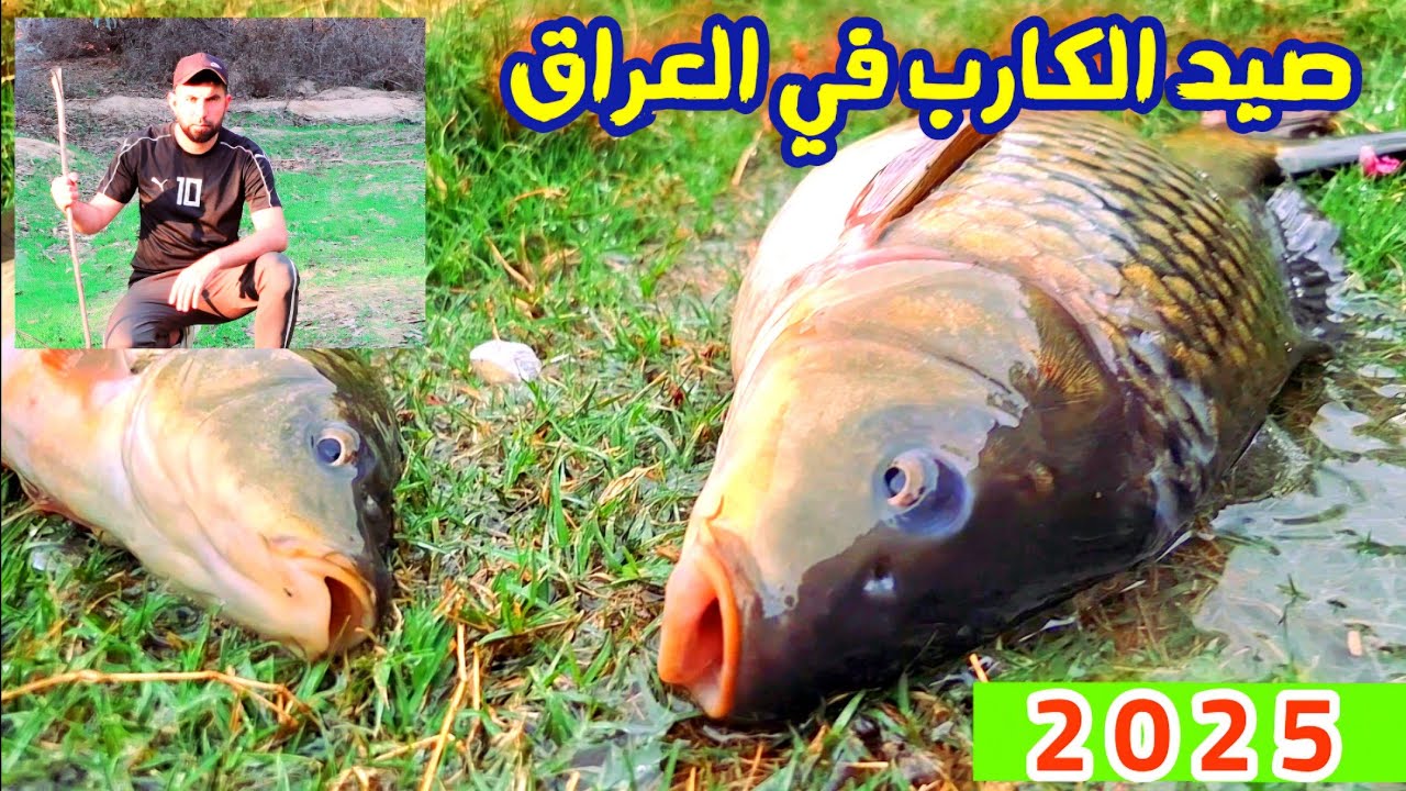 صيد سمك الكارب واكتشاف الكثير من أماكن الصيد