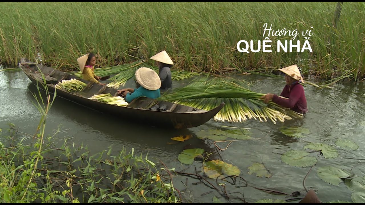 MỜI QUÝ VỊ VỀ CÀ MAU NHẬU ĐẶC SẢN | VÕ ĐẮC DANH - LÃO NÔNG XẺO LÁ