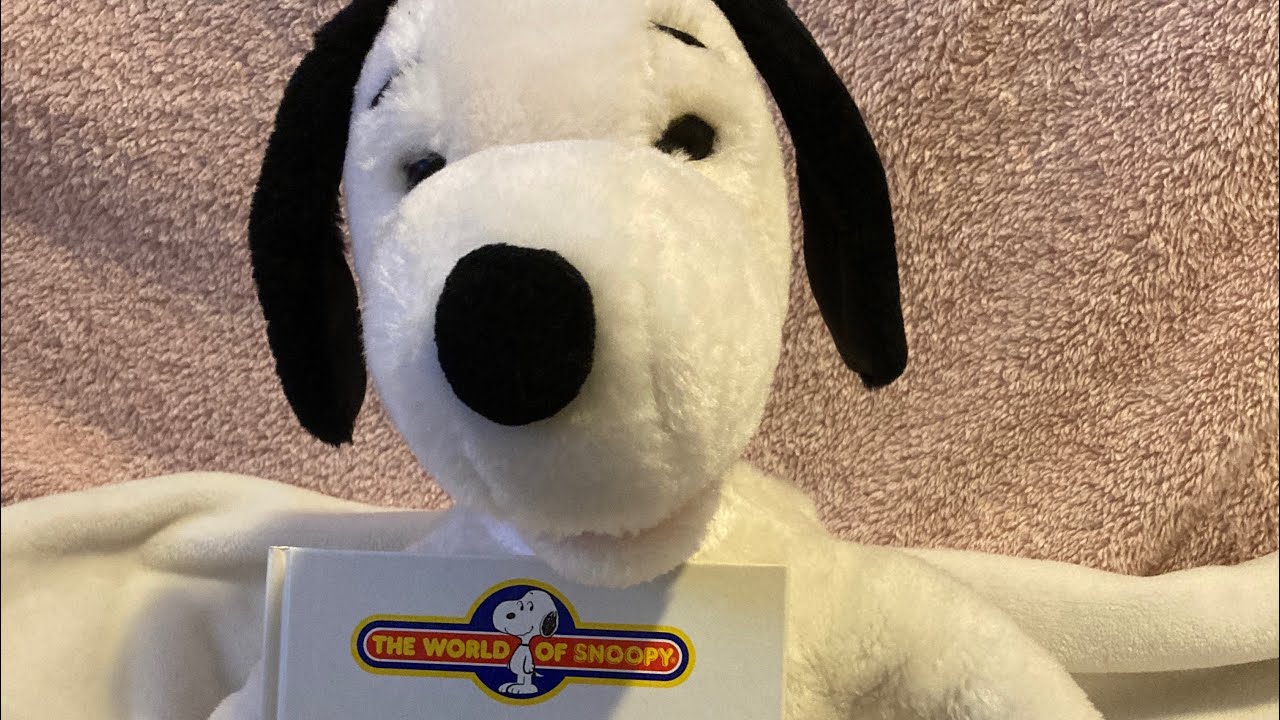Worlds of Wonder talking Snoopy unboxing!!!