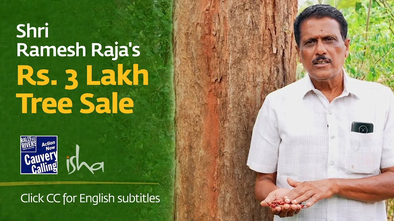 From Rosewood to Riches: Shri Ramesh Raja's Rs. 3 Lakh Tree Sale