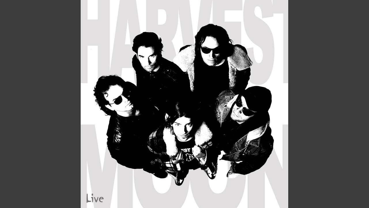 Whatever Happened to My R & R (Live)
