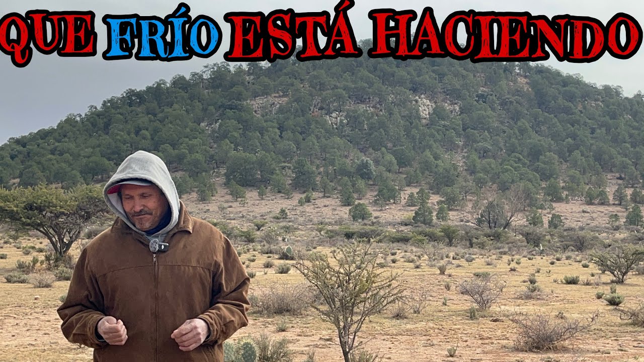 MUY FRÍO ESTA ZACATECAS 
