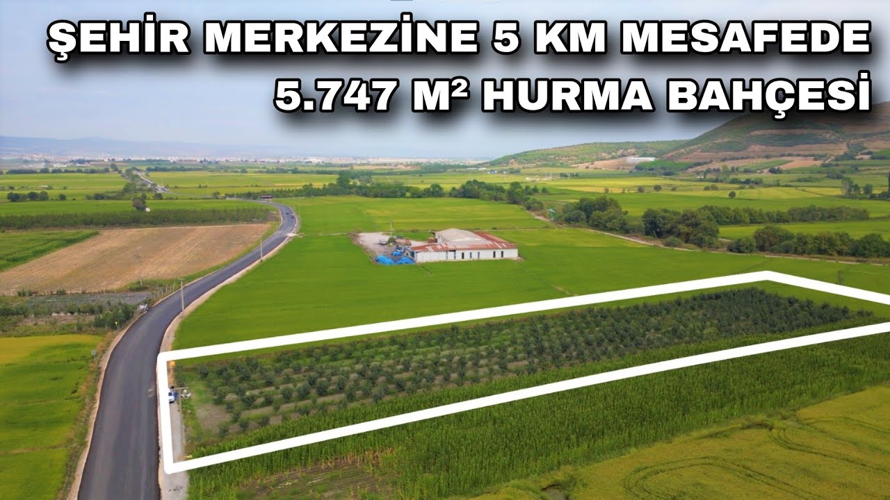 1853- FİYATI DÜŞTÜ GÖNEN ŞEHİR MERKEZİNE 5 KM MESAFEDE 5.747 M² HURMA BAHÇESİ