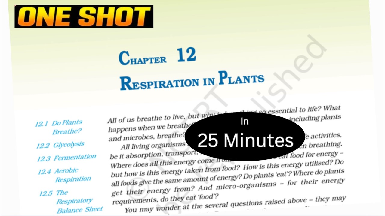 respiration in plants class 11 one shot | respiration one shot | Biology class 11 chapter 12