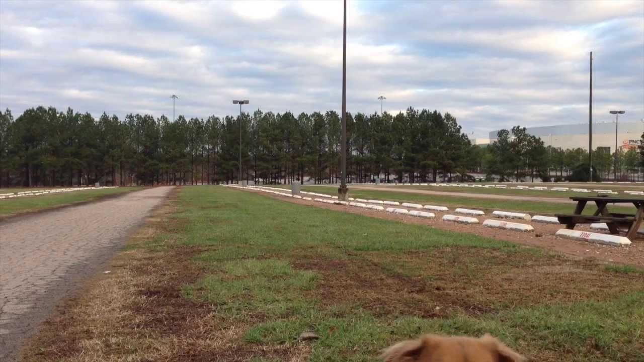 Disc Golf - MVP Servo Test