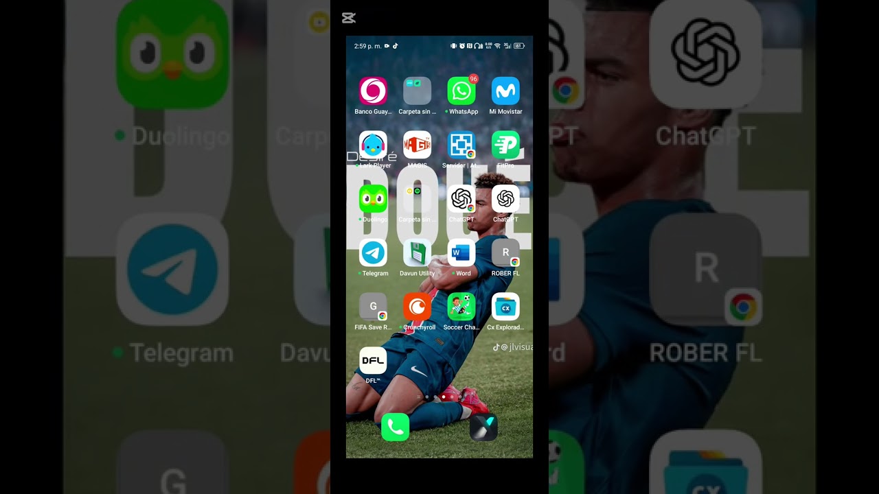 M&eacute;todo de instalaci&oacute;n del dfl 25 V4.0 de Rober FL