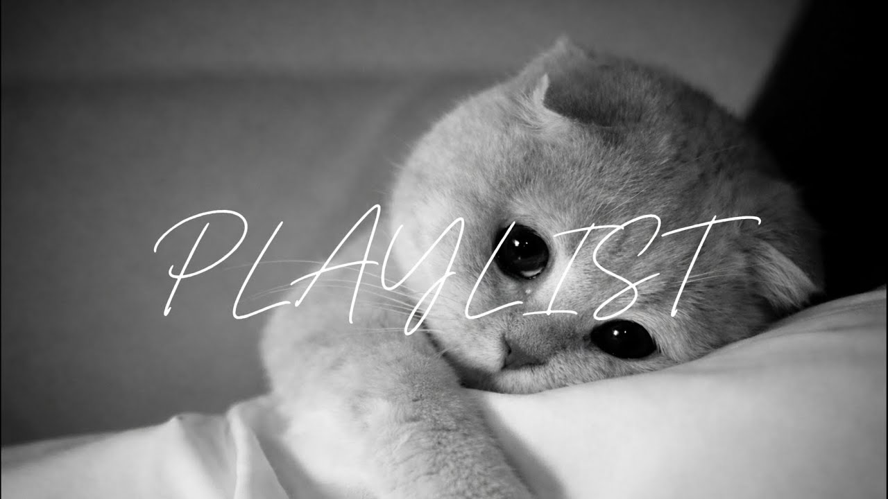 𝘗𝘭𝘢𝘺𝘭𝘪𝘴𝘵 | 이 노래는 뭔데 이래 몽글몽글한데? 🖤🎧 | 𝘏𝟤 𝘸𝘢𝘷𝘦