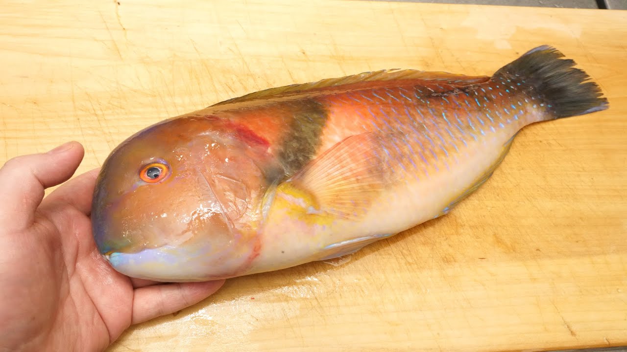 イラのさばき方とムニエルの作り方（癖のない白身で味付けすれば美味しく食べられる）