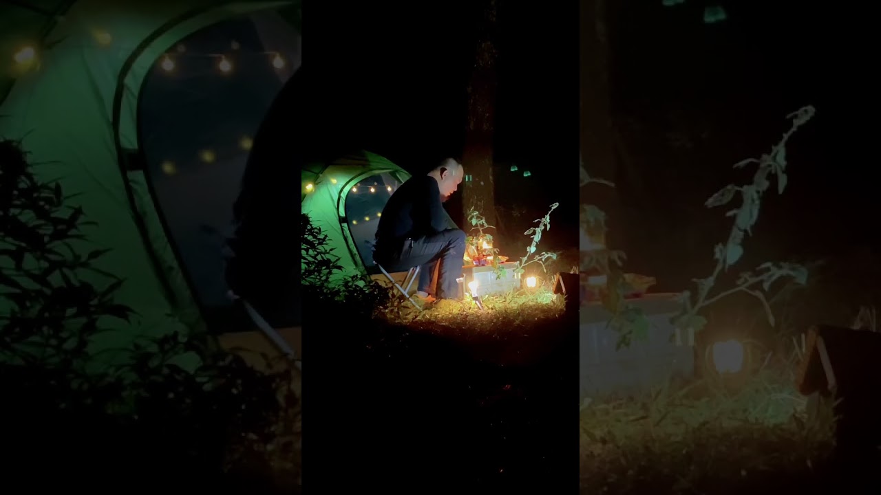 #solocamping #solocampingcooking #solocampinghutan #soundofcamping #soundofnature