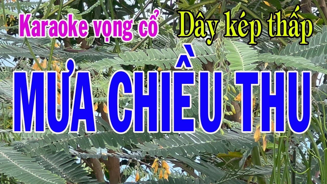 Karaoke vọng cổ MƯA CHIỀU THU - DÂY KÉP THẤP