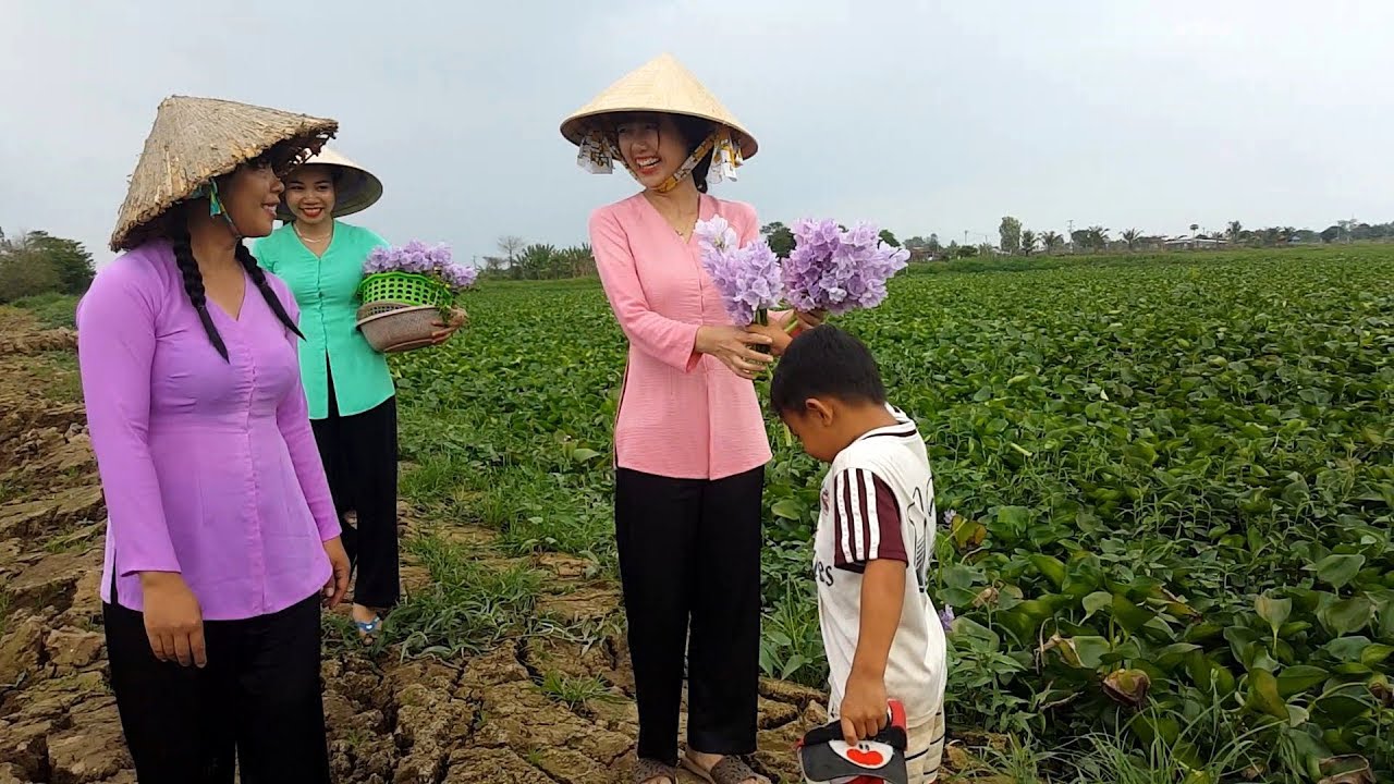 Thôn nữ hái HOA LỤC BÌNH về XÀO THỊT BA RỌI | Thôn Nữ Miền Tây