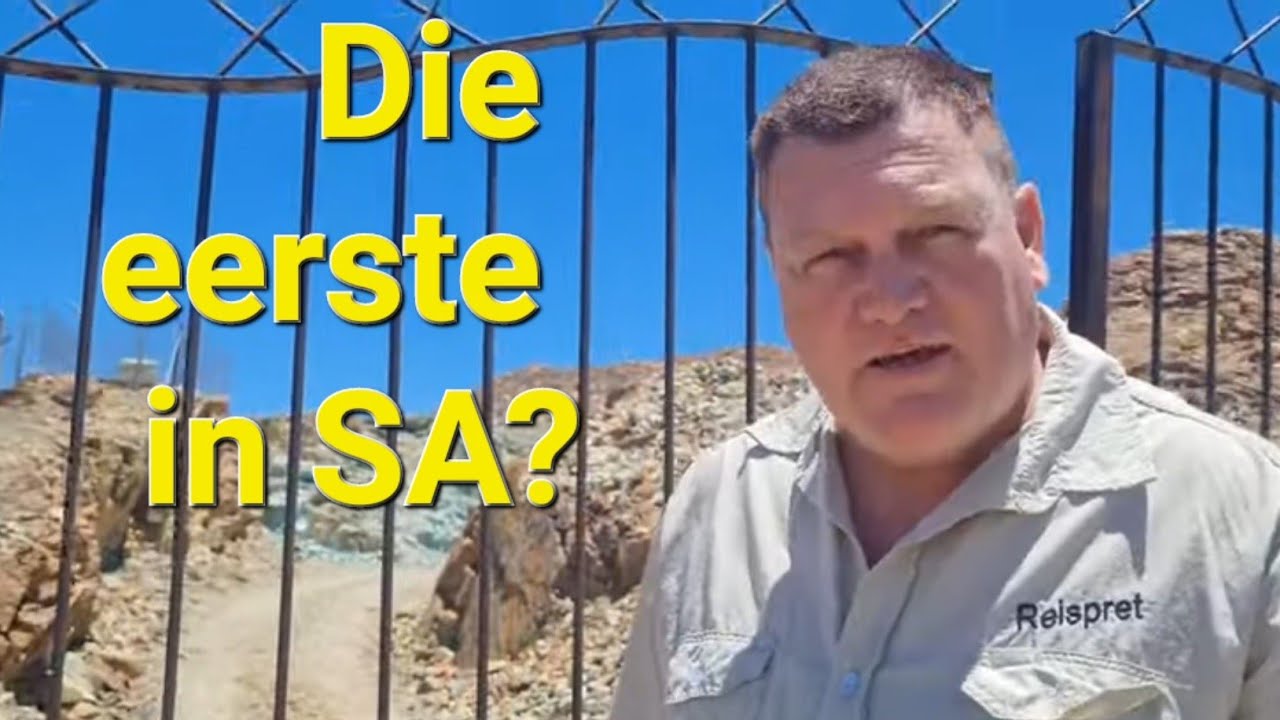 Springbok South Africa 2025