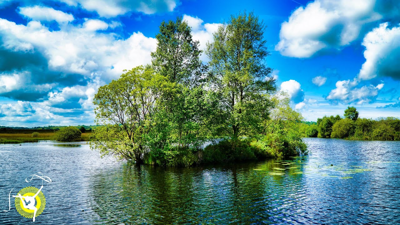 Озеро Природа Звуки - Водные волны и пение Пение - Расслабление, Сон или медитация - 4K
