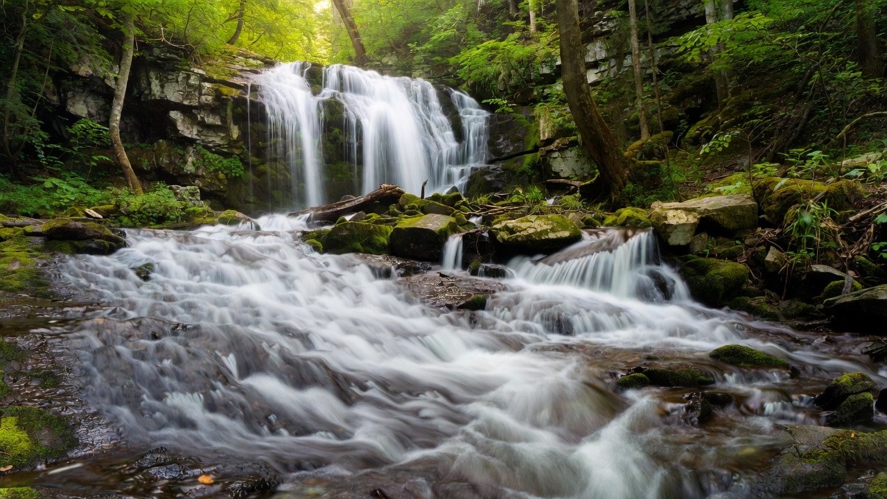 “Pure Nature ASMR 🌿 Flowing Water & Gentle Rain for Deep Sleep and Relaxation”