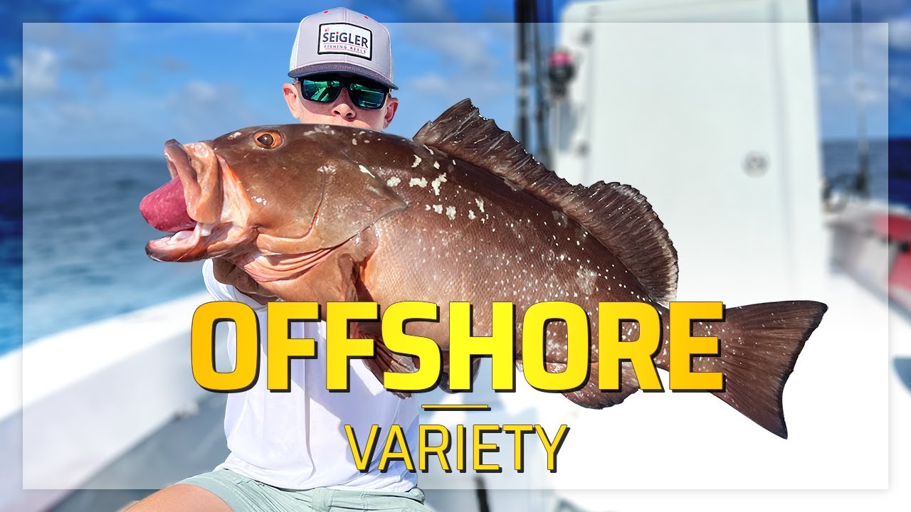 Saltwater Fishing for Beginners