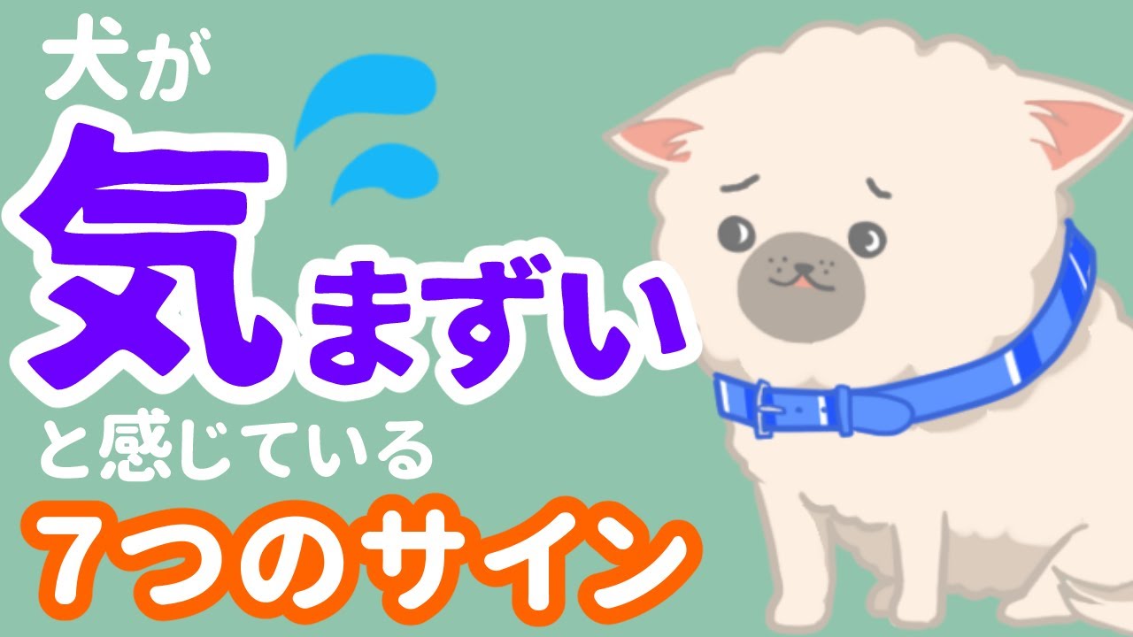 ちょっと気まずいかも‥犬が気まずいと感じている7つ仕草
