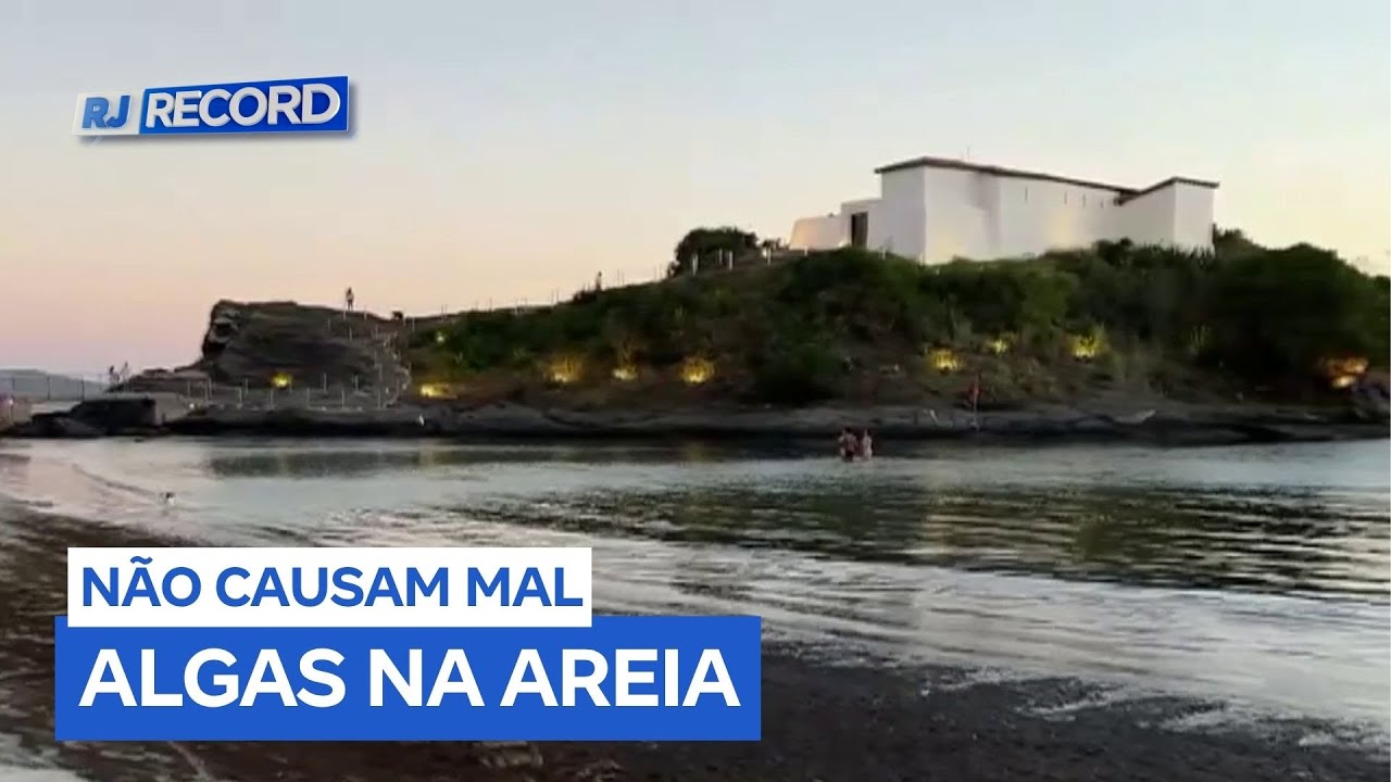 Praia do Canto do Forte em Cabo Frio (RJ) é tomada por algas e surpreende turistas