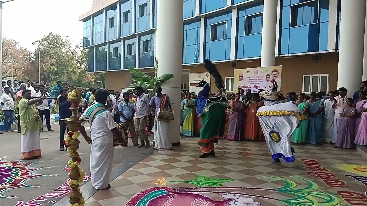 Ranipet Collector Office Pongal Festival Program Silambam poikal kuthirai