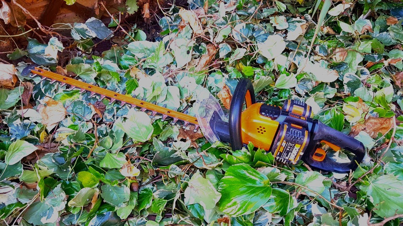#worx #worxuk Cutting Back Huge Ivy With Worx 40V Hedge Trimmer