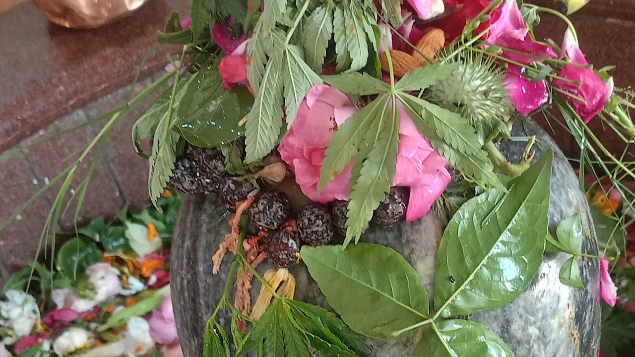 हर हर महादेव जय श्री महाकाल सभी शिव भक्तों को