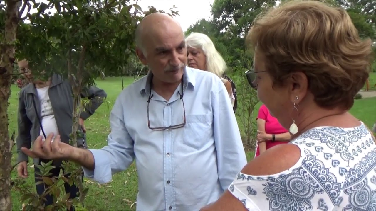 1261 ) –  NOÇÕES DE PODA DE  FRUTIFERAS EM GERAL – MAIRINQUE - SÃO PAULO