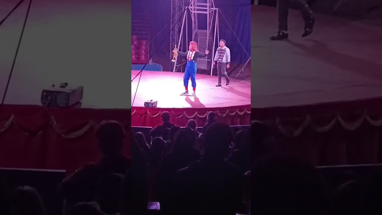 Circo hermanos suarez en chillán