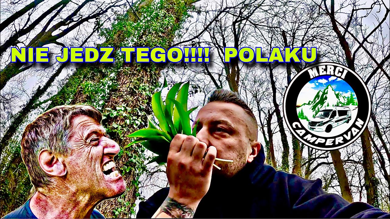 OBRAZIŁ MNIE ANGLIK | Wielki SZCZUPAK