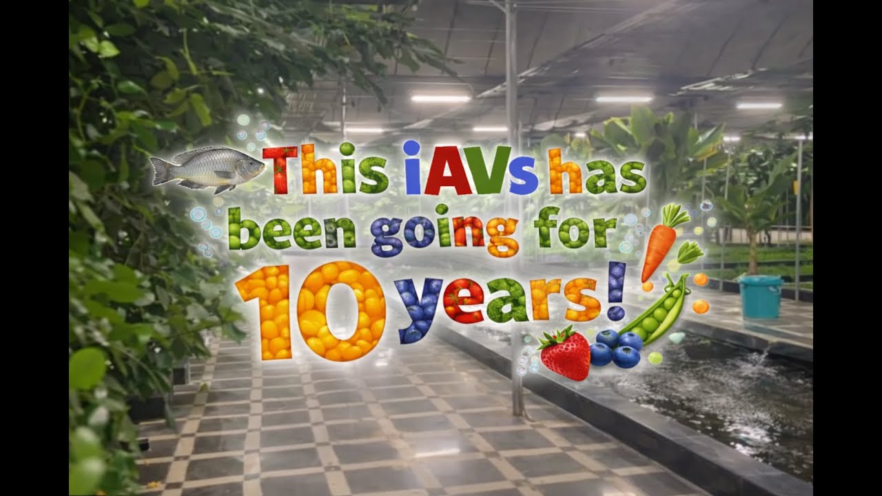 5000sq meter iAVs (yielded over 25 tons of fish and 67 varieties of fruits and vegetables!)