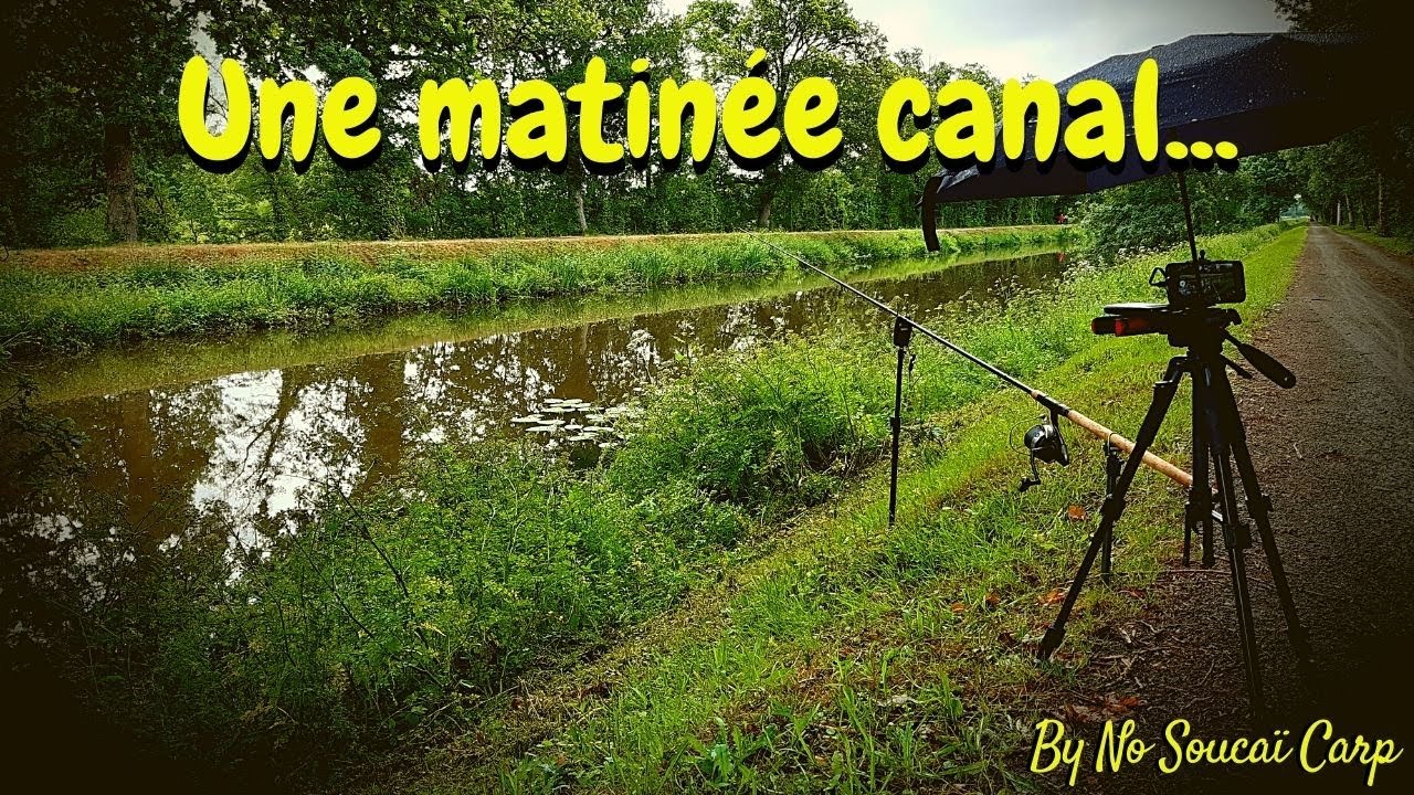 Une matinée en canal