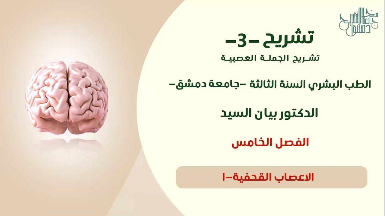 تشريح 3 | الاعصاب القحفية 1(المحركة للعين ومثلث التوائم ) (الفصل الخامس) د.بيان السيد