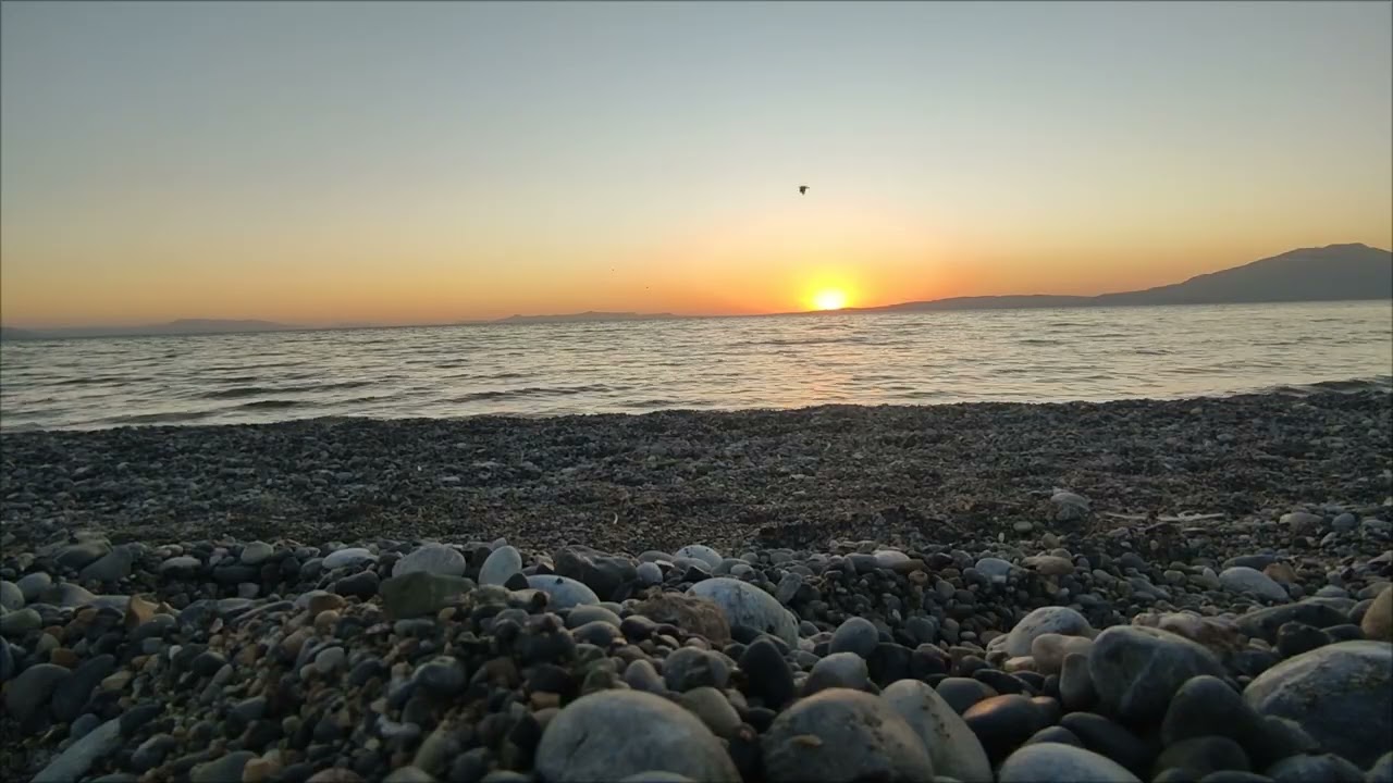 Ayrılık - Ali Deniz Tosun