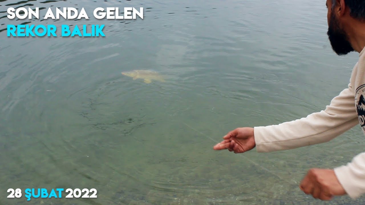 BALIK AVI | ZİLLER SUSMADI | SON ANDA GELEN REKOR BALIK !! (SAZAN AVI 2022)