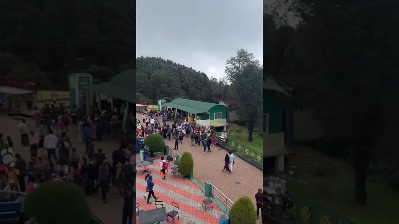 Doddabetta Peak, Ooty #shorts #youtubeshorts #tamilyoutuber #ooty #travel #tamilvlog #hillstation