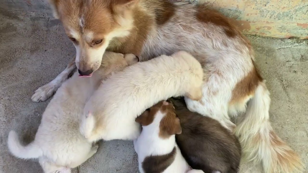 baby drinking milk from bottle sound effects