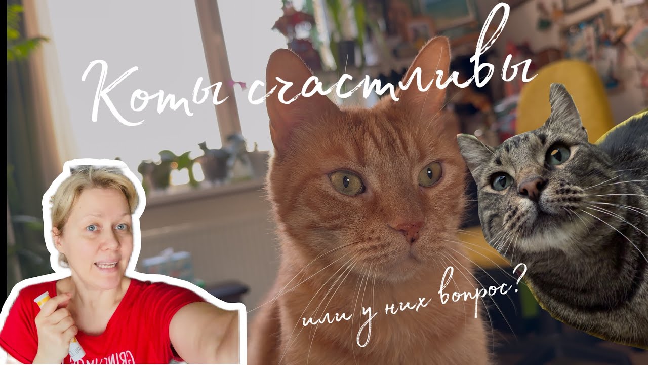 Я - пять дней не выходя из дома!