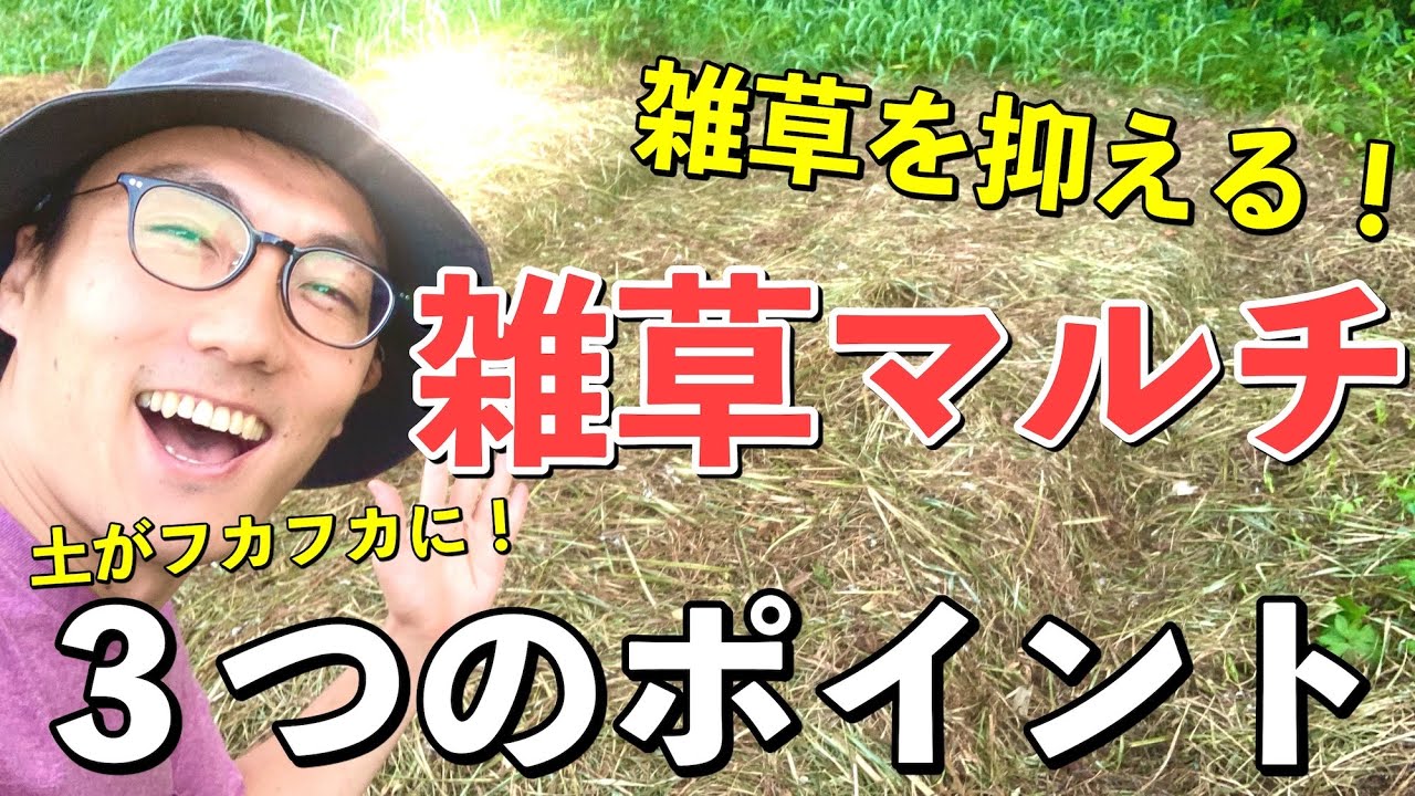 雑草を抑えて野菜がよく育つ！雑草マルチ３つの効果とポイント