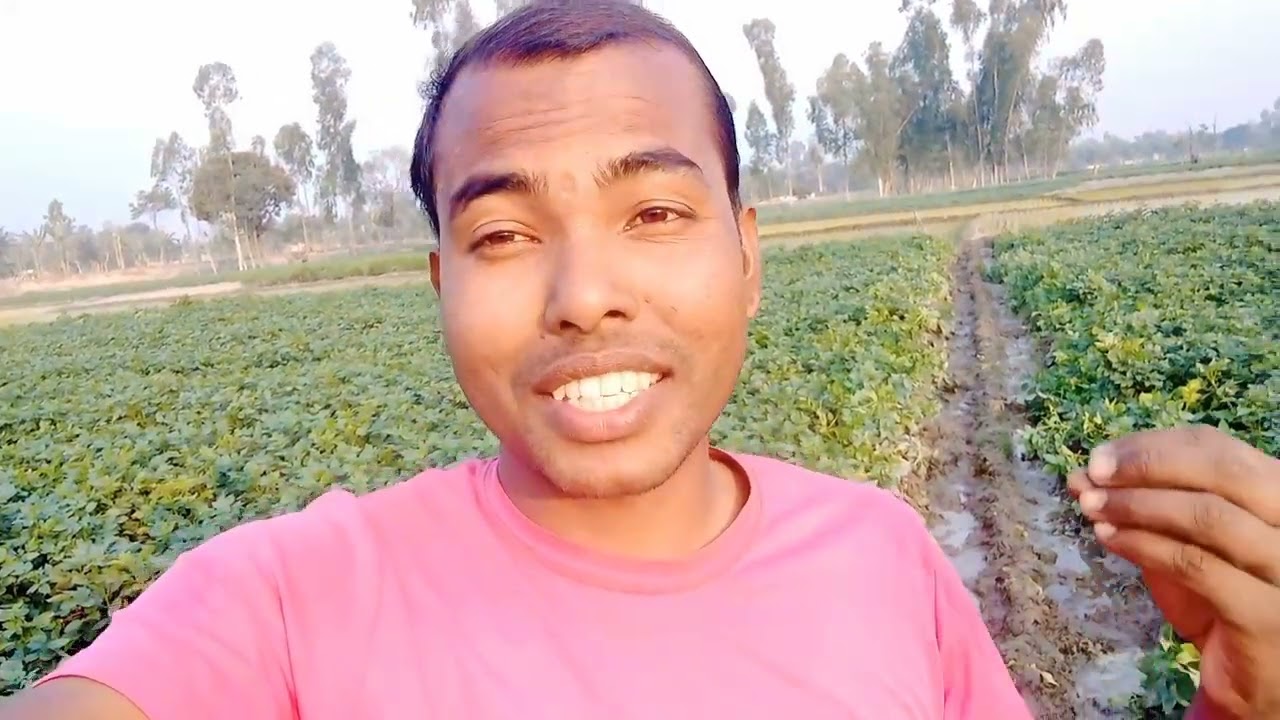 সারাদিন কি কি কাজ করি সব ইংরেজিতে বললাম ।। I am telling what all work I do every day ।। English 