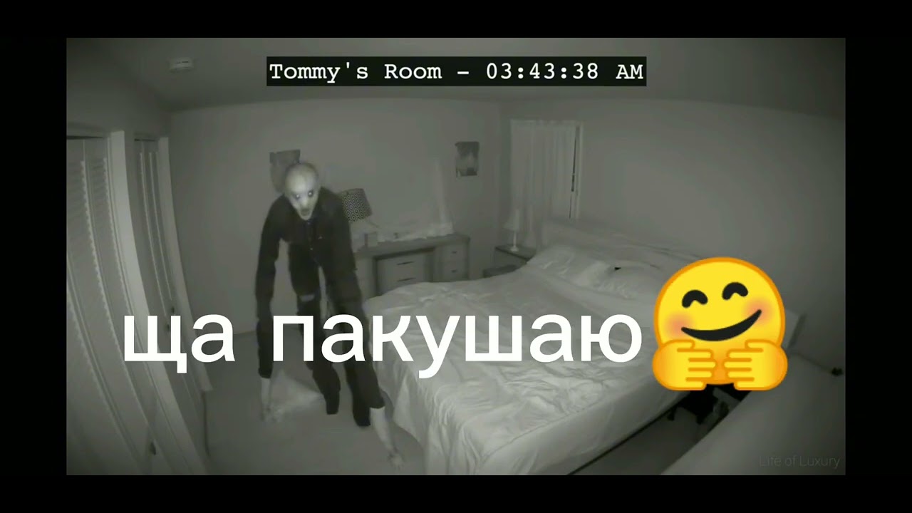 МАЛОЙ ТОММИ ВЫРОС И ПОШЁЛ ДЕНСИТЬ!🥳 