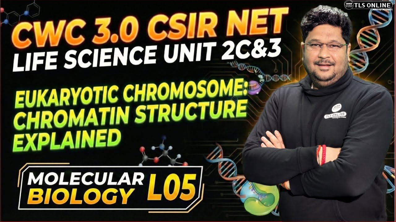 𝐌𝐨𝐥𝐞𝐜𝐮𝐥𝐚𝐫 𝐁𝐢𝐨𝐥𝐨𝐠𝐲 𝐋𝟎𝟓: 𝐄𝐮𝐤𝐚𝐫𝐲𝐨𝐭𝐢𝐜 𝐂𝐡𝐫𝐨𝐦𝐨𝐬𝐨𝐦𝐞 & 𝐂𝐡𝐫𝐨𝐦𝐚𝐭𝐢𝐧 𝐒𝐭𝐫𝐮𝐜𝐭𝐮𝐫𝐞 | 𝐂𝐒𝐈𝐑 𝐍𝐄𝐓 𝐋𝐢𝐟𝐞 𝐒𝐜𝐢𝐞𝐧𝐜𝐞