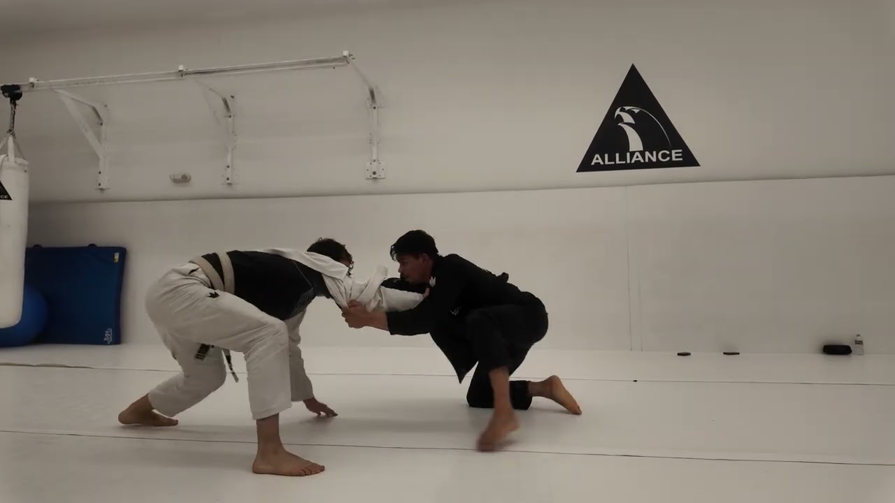 Jiu Jitsu style