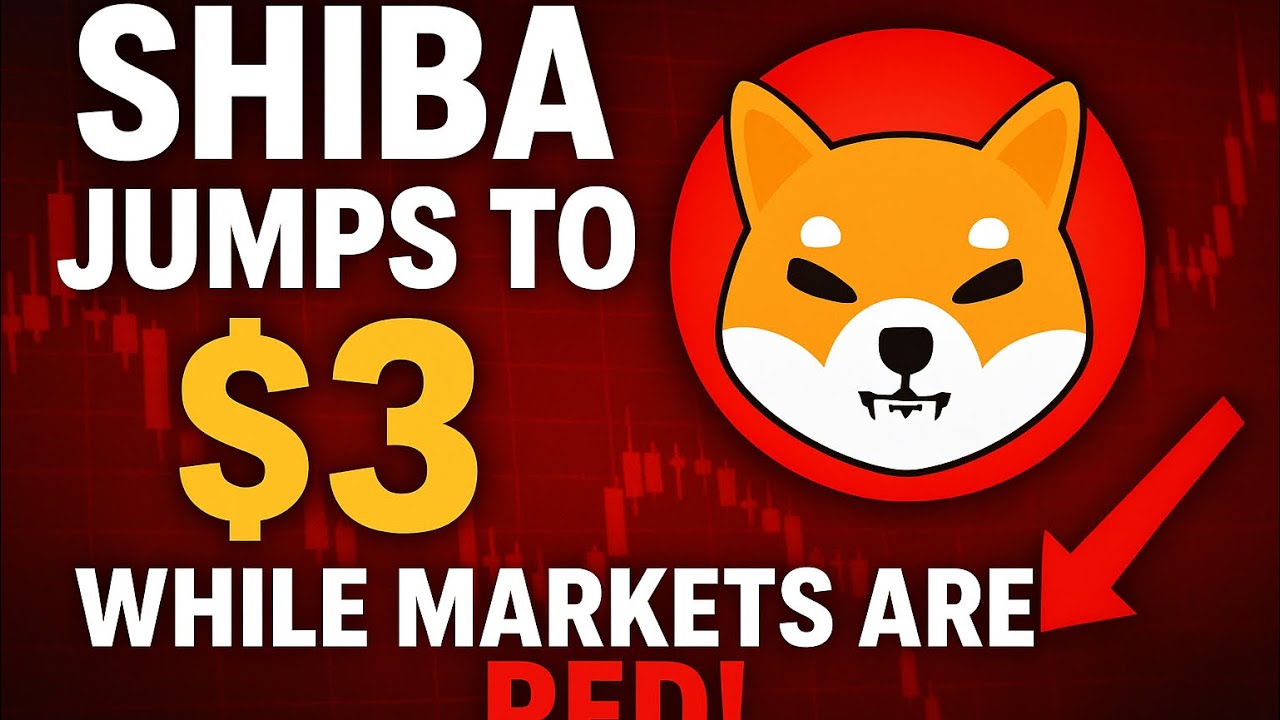 РЫНОК ВЕСЬ КРАСНЫЙ, КОГДА ЦЕНА НА СИБА-ИНУ ПОДНЯЛАСЬ ДО 3,00 ДОЛЛАРОВ!!