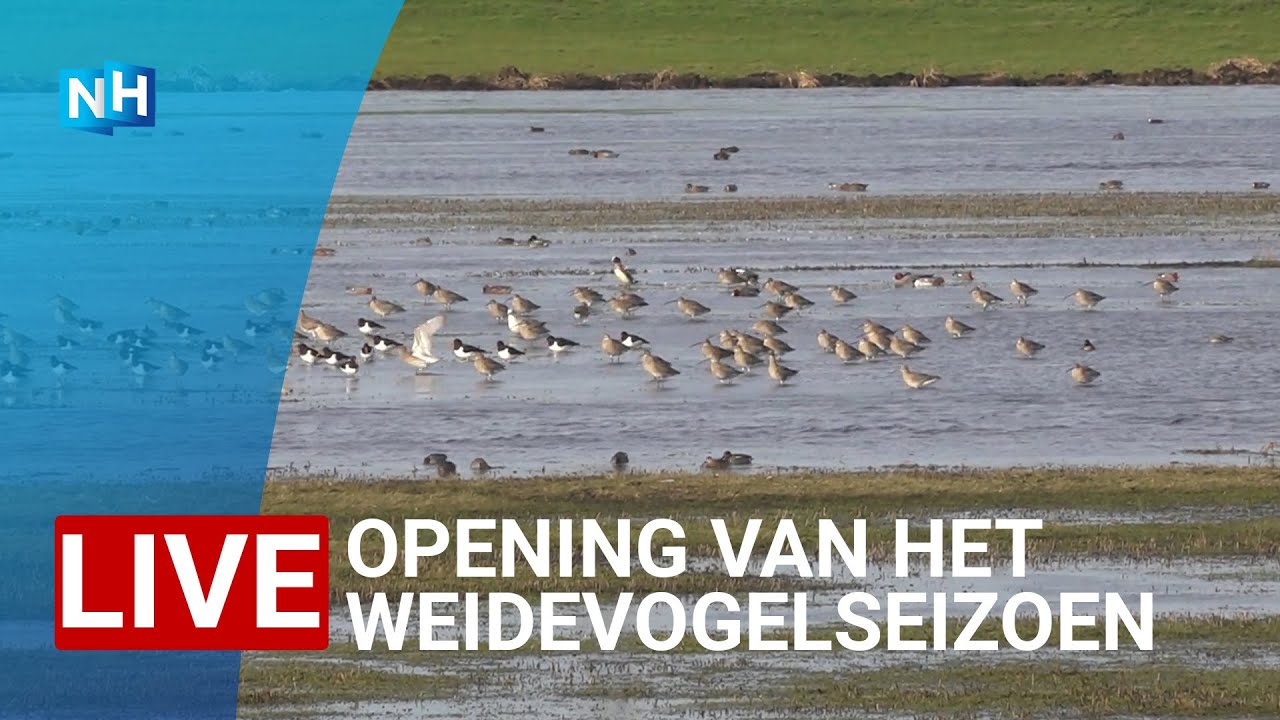 TERUGKIJKEN 🔴 Opening van het weidevogelseizoen