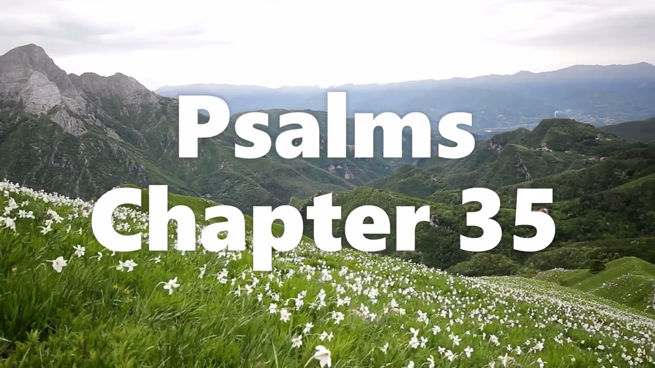 The Book of Psalms Chapter 35 - New King James Version (NKJV) - Audio Bible