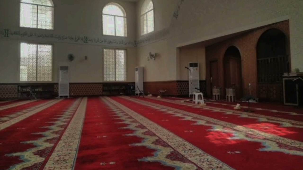 تلاوة لا تفوَّت لسورتي الفاتحة والنازعات | الشيخ: عامر هوساوي -حفظه الله-.