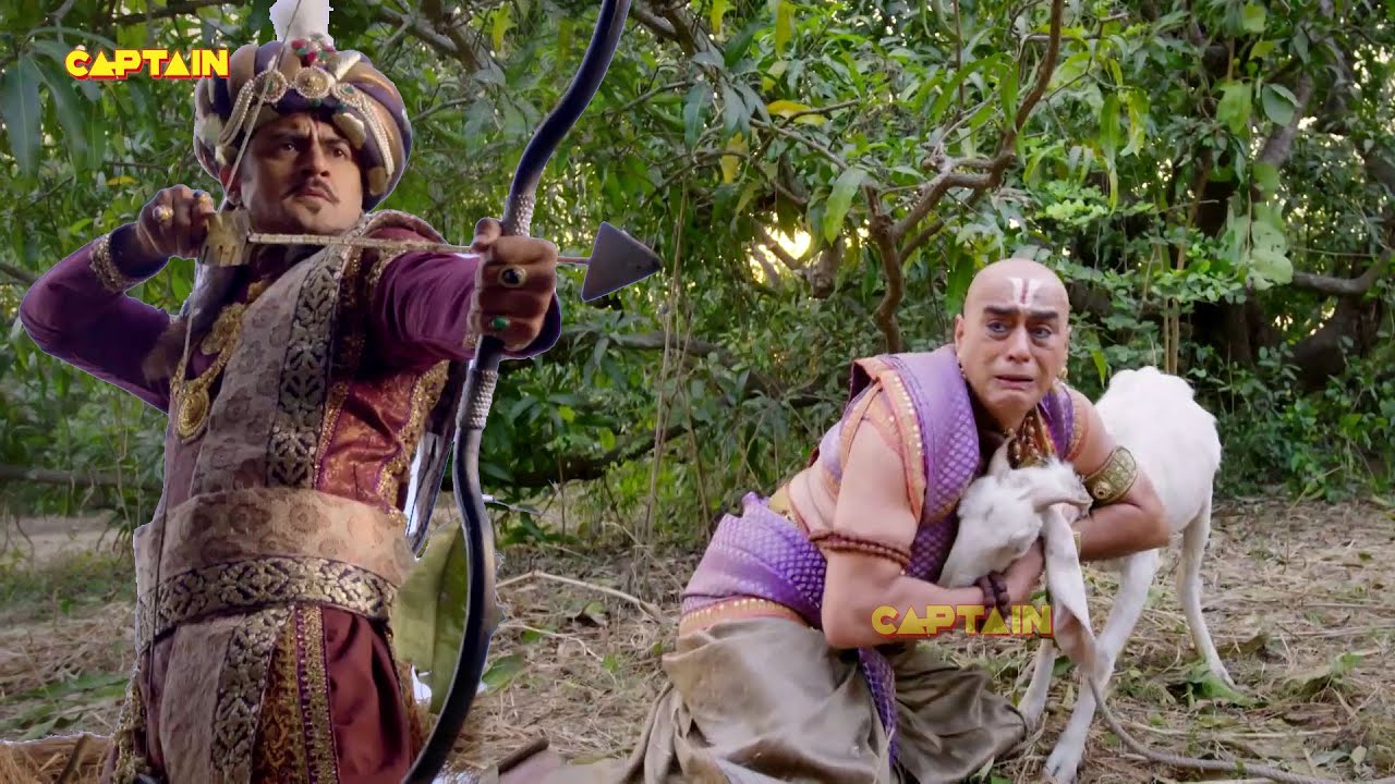 बकरी कैसे करेगी तथाचार्य का बचाव  - तेनाली रामा - Tenali Rama