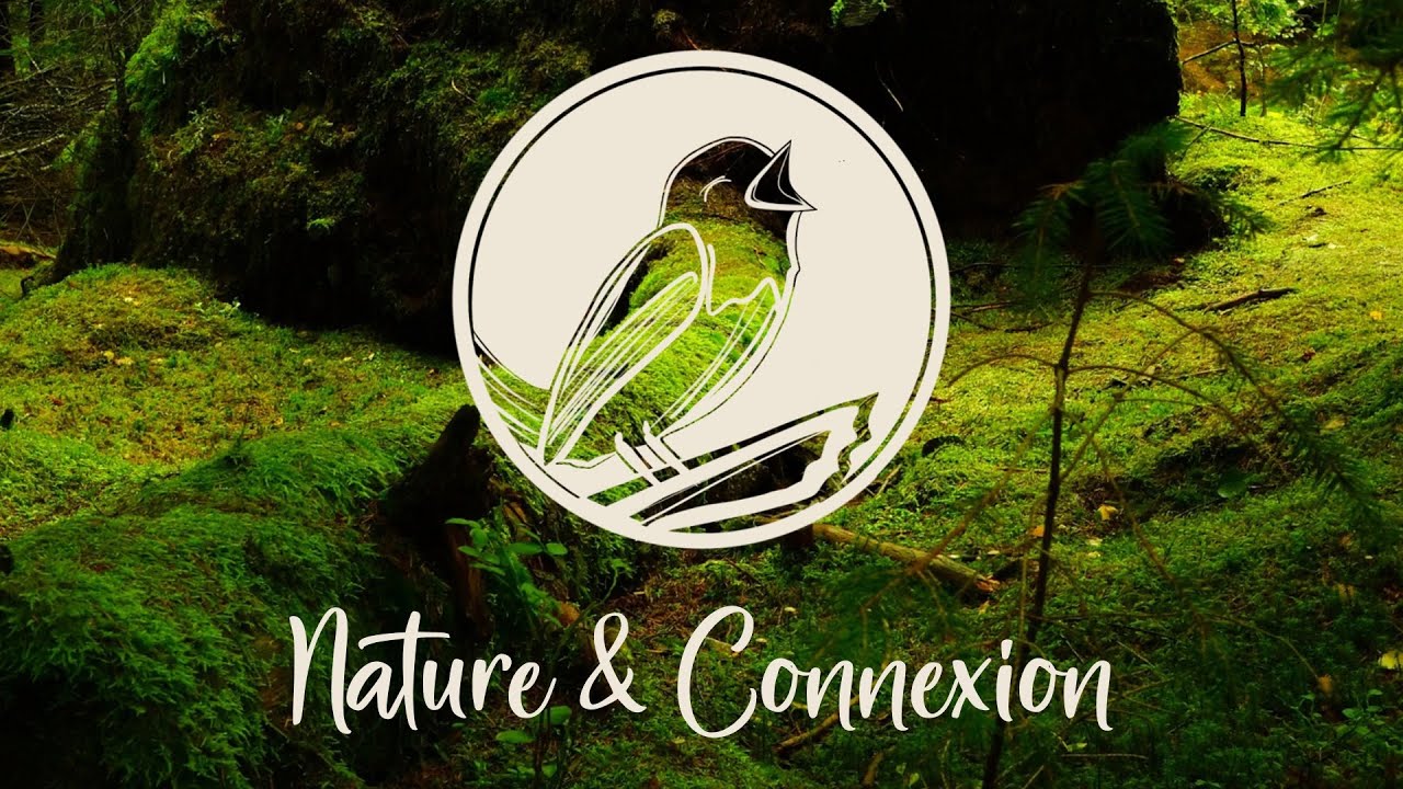 Nature & Connexion - Ep 0 : Les Origines - avec Justine Collet