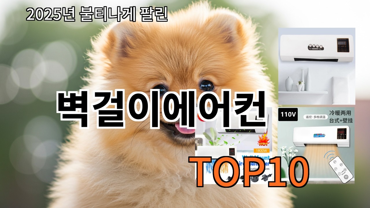 알리 벽걸이에어컨 실사용 후 계속 쓰는 제품