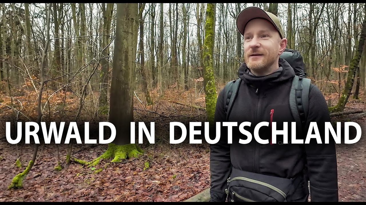 Biwaktour zwischen Urwald und YouTubeRealtalk im Nationalpark Hainich