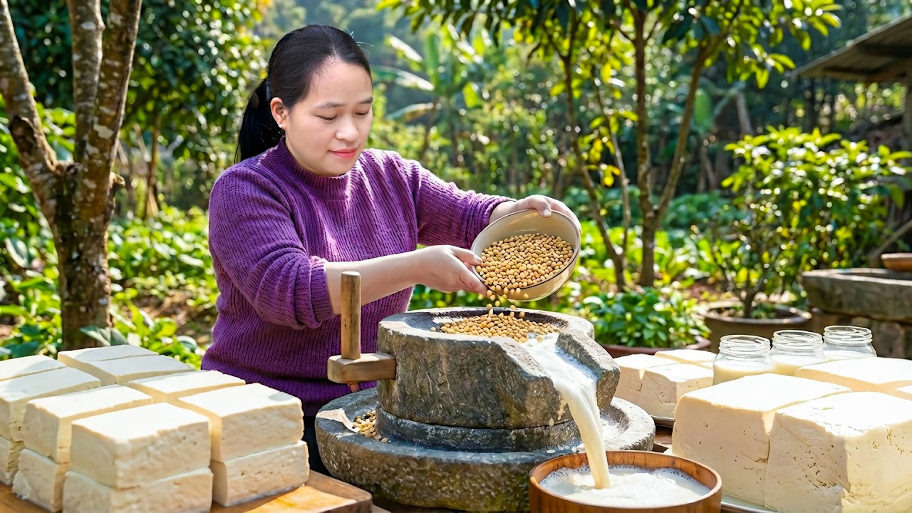 昔ながらの石臼で大豆を挽く🪨家伝の豆腐作りと豆腐料理✨