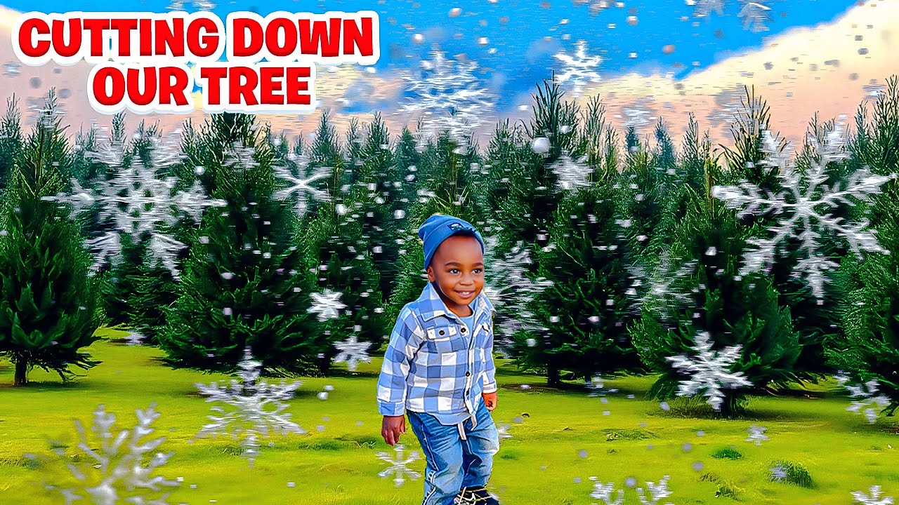 WE CUT DOWN OUR OWN CHRISTMAS TREE!!!